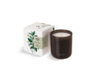 KOHLER K-26803-A6 Sprig Relax Scented Candle (Chamomile + Green Tea)