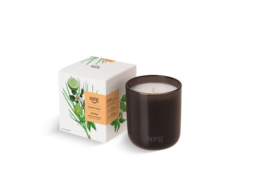 Kohler Sprig Recharge Scented Candle (Bergamot + Lemongrass)