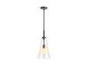Kohler Simplice 10" pendant