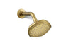 KOHLER K-27050 Occasion Single-function showerhead, 2.5 gpm