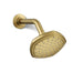 Kohler Occasion Single-function showerhead, 1.75 gpm