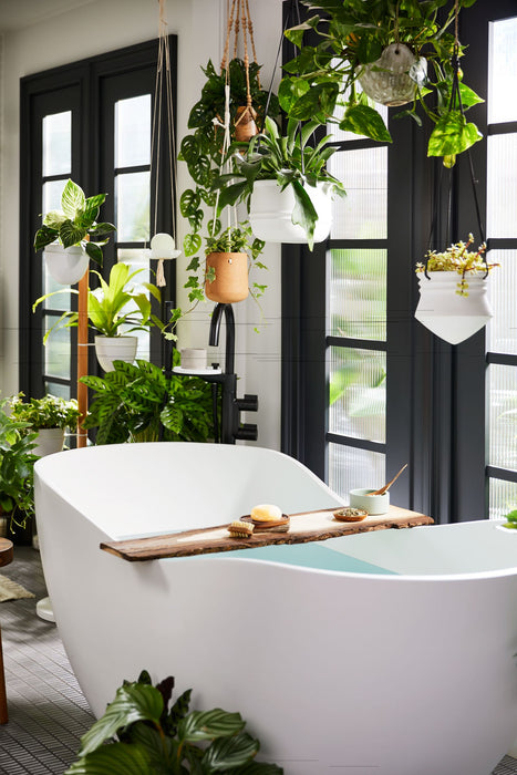 KOHLER K-28152-A4 Sprig Recharge Bath Bomb