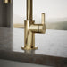 Kohler Components Beverage faucet