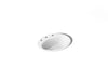 KOHLER K-2905-8 Farmington 19-1/4" oval drop-in bathroom sink