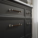 Kohler Artifacts 48" bathroom vanity cabinet