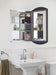 KOHLER K-3073 Archer 20" W x 31" H aluminum single-door medicine cabinet, beveled edges