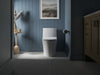 KOHLER K-30780 Carbyne Quiet-Close Elongated Toilet Seat
