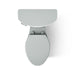 KOHLER K-31620 Cimarron Two-piece elongated toilet, 1.6 gpf - Ice Grey