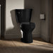 KOHLER K-31640 Cimarron Two-piece round-front toilet, 1.6 gpf - Black Black