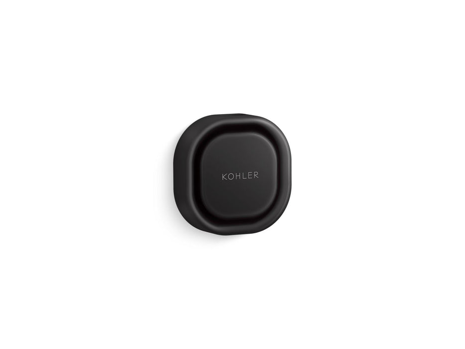 Kohler Invigoration Square steam head