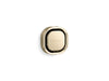 Kohler Invigoration Square steam head