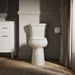 KOHLER KOHLER K-35643 Highline Tall round-front toilet bowl