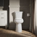 KOHLER KOHLER K-35643 Highline Tall round-front toilet bowl