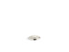 Kohler Garbage disposal air switch button