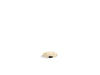 Kohler Garbage disposal air switch button