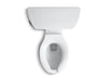 KOHLER K-3578 Barrington Two-piece elongated toilet, 1.0 gpf