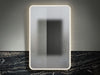 Kohler Essential 22" x 34" rectangular lighted mirror