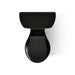 KOHLER K-3997-T Wellworth Two-piece round-front toilet, 1.28 gpf, black black - view 5