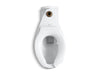 KOHLER K-4352-L Anglesey Floor-mount top spud flushometer bowl with bedpan lugs