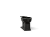 KOHLER Archer Elongated toilet bowl