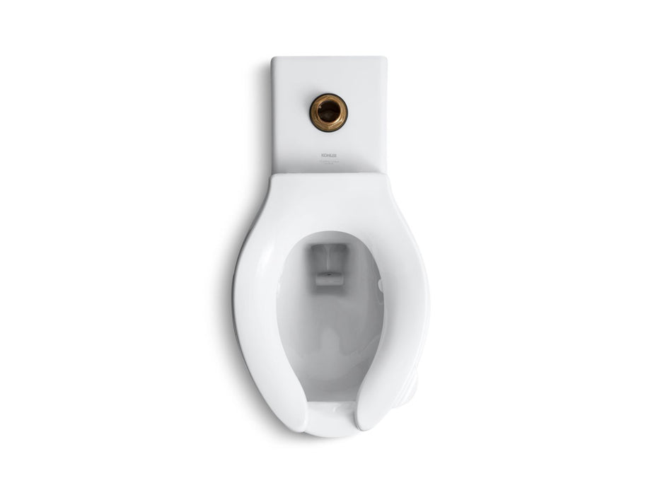 KOHLER K-4386-L Anglesey Floor-mount top spud flushometer bowl with bedpan lugs