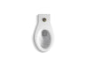 KOHLER K-4388 Anglesey Floor-mount Top Spud Flushometer Bowl with Integral Seat