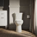 KOHLER KOHLER K-44199 Highline Elongated toilet bowl