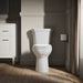 KOHLER KOHLER K-44199 Highline Elongated toilet bowl