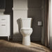 Kohler Highline Toilet tank, 1.28 gpf
