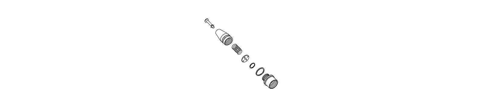 KOHLER K-45021-CP Spray Sa