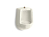 KOHLER K-4989-T Freshman Siphon-jet half-stall 1.0 gpf urinal, top spud