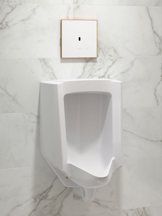 KOHLER K-4991-ERSS Bardon High-Efficiency Urinal (HEU), washout, wall-hung, 0.125 gpf to 1.0 gpf, rear spud, antimicrobi