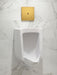 KOHLER K-4991-ERSS Bardon High-Efficiency Urinal (HEU), washout, wall-hung, 0.125 gpf to 1.0 gpf, rear spud, antimicrobi