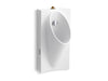 KOHLER K-5244-ET Steward Washout half-stall 0.125 gpf urinal, top spud