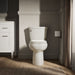 KOHLER Cimarron Elongated toilet bowl with skirted trapway