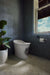 KOHLER K-5401-DA Landshapes One-piece elongated smart toilet, dual-flush