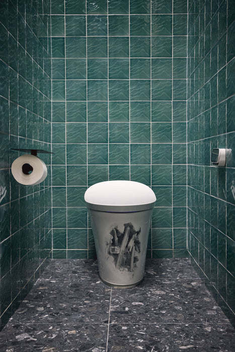 KOHLER K-5401-DA Landshapes One-piece elongated smart toilet, dual-flush