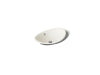 Kohler Iron Plains 20-3/4" oval vessel bathroom sink