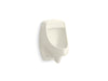 KOHLER K-5452-ER Dexter Washout half-stall 0.125 gpf urinal, rear spud