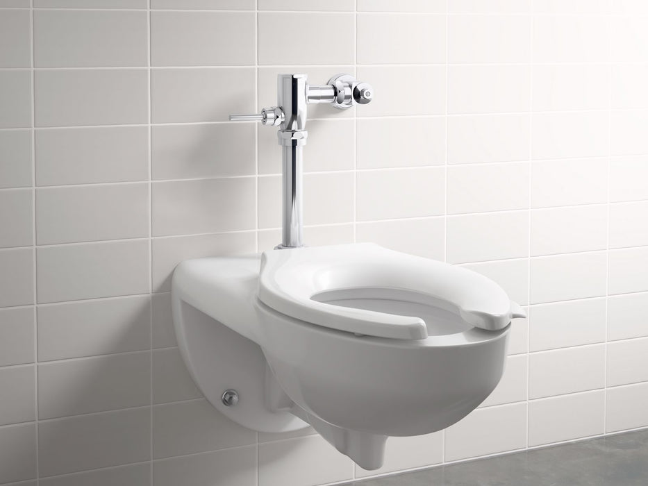 KOHLER K-76321 Primme Toilet flushometer, 1.28 gpf