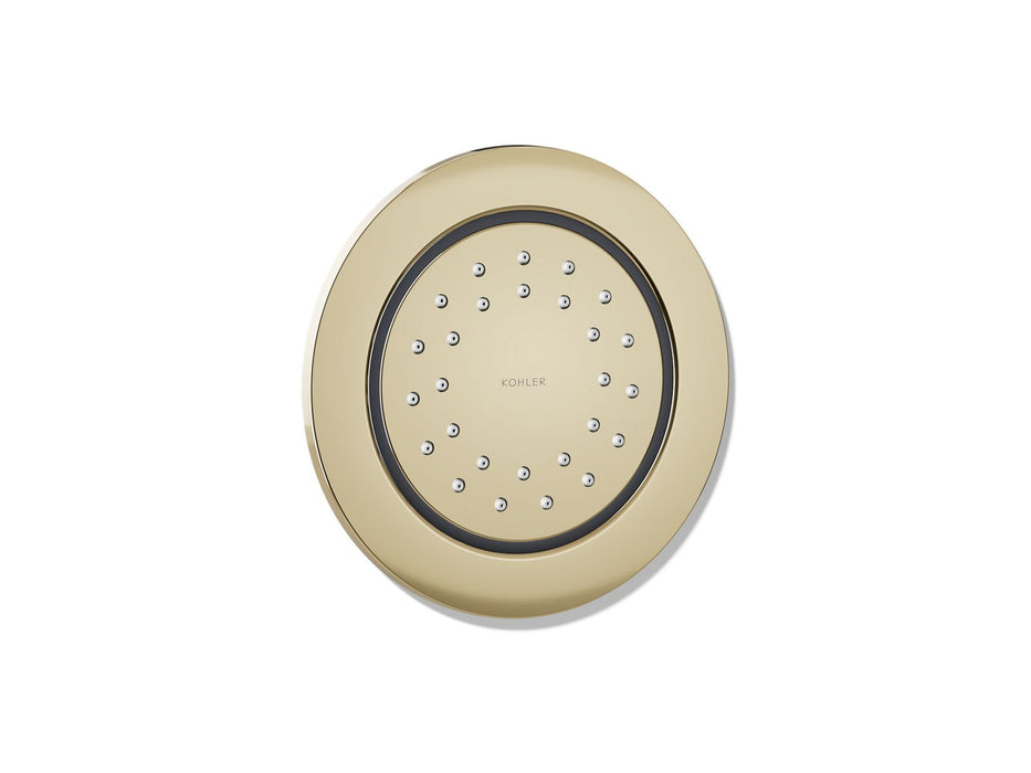 KOHLER K-77119 WaterTile Round 27-nozzle single-function body spray, 1.0 gpm