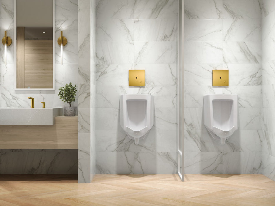 KOHLER K-90UB00D40 Mach Flex Metal faceplate for concealed touchless urinal flushometer, 0.125 gpf