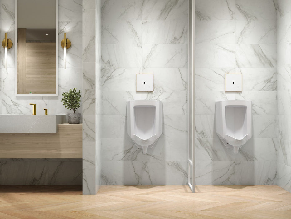 KOHLER K-91UB10D40-0WH Mach Flex Glass faceplate for concealed touchless urinal flushometer, 0.125 gpf