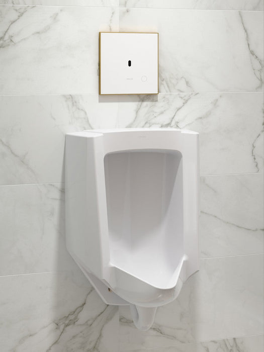 KOHLER K-91UB10D40-0WH Mach Flex Glass faceplate for concealed touchless urinal flushometer, 0.125 gpf