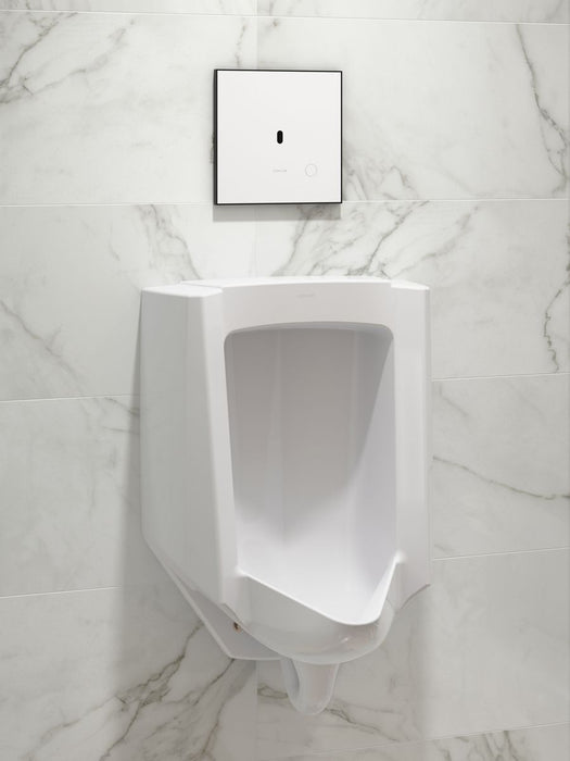image focused on single product story
