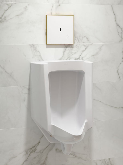 image focused on single product story