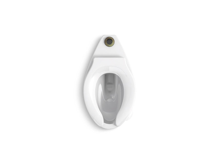 KOHLER K-96053 Wellcomme Floor-mount top spud flushometer bowl