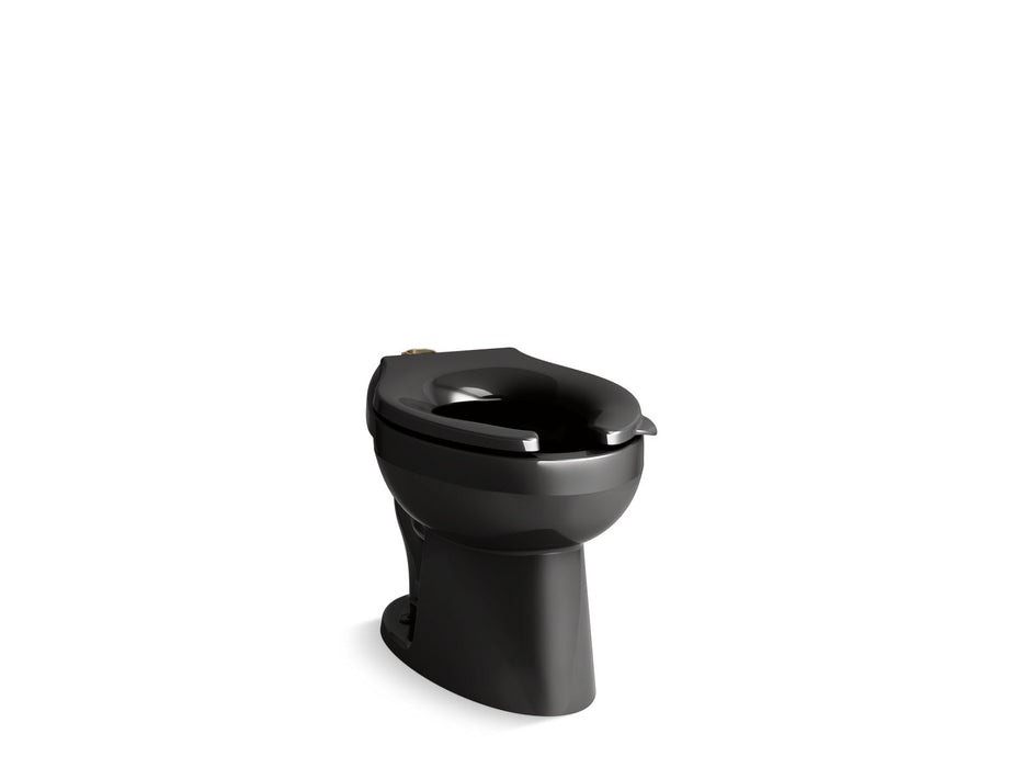 KOHLER K-96053 Wellcomme Floor-mount top spud flushometer bowl