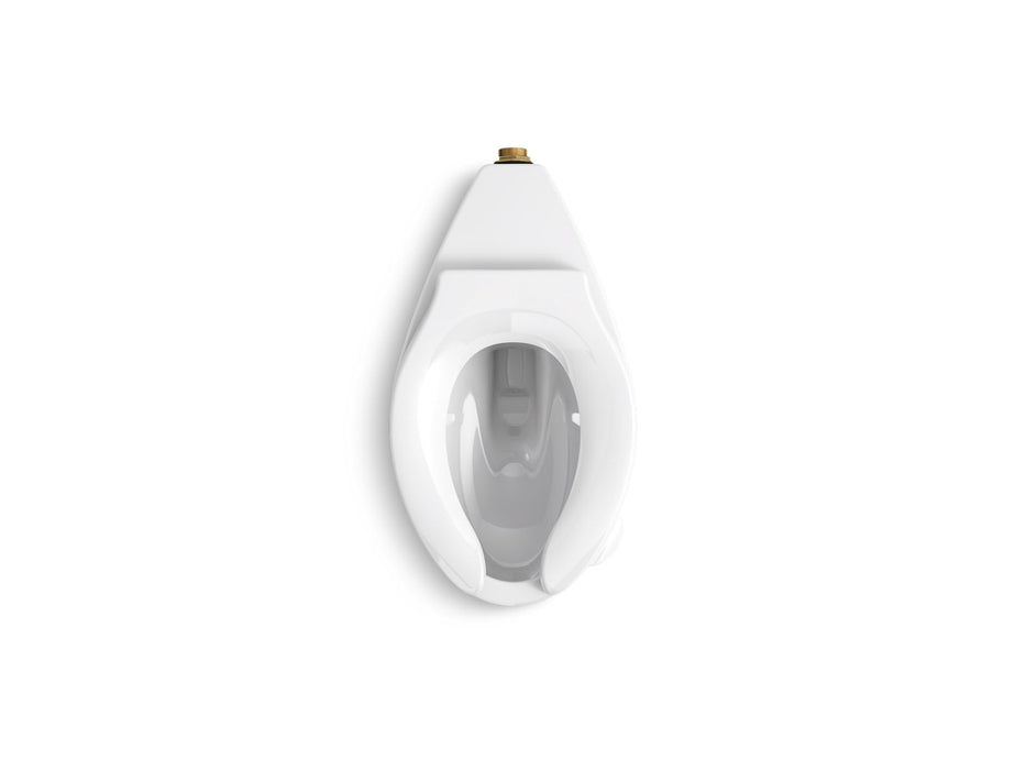 KOHLER K-96054 Wellcomme Floor-mount Rear Spud Flushometer Bowl