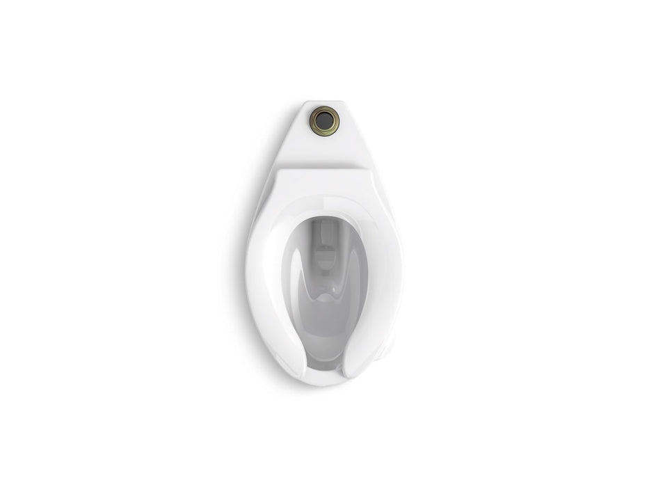 KOHLER K-96057-SSL Highcliff Floor-mount top spud antimicrobial flushometer bowl with bedpan lugs